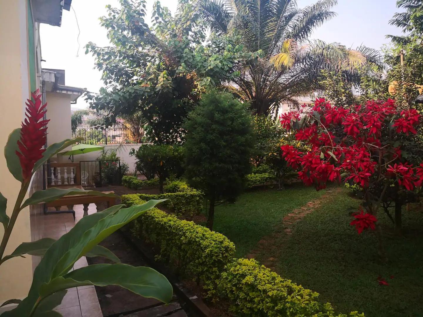 Tout Confort Avec Jardin Entree Bastos Yaoundé Kültér fotó