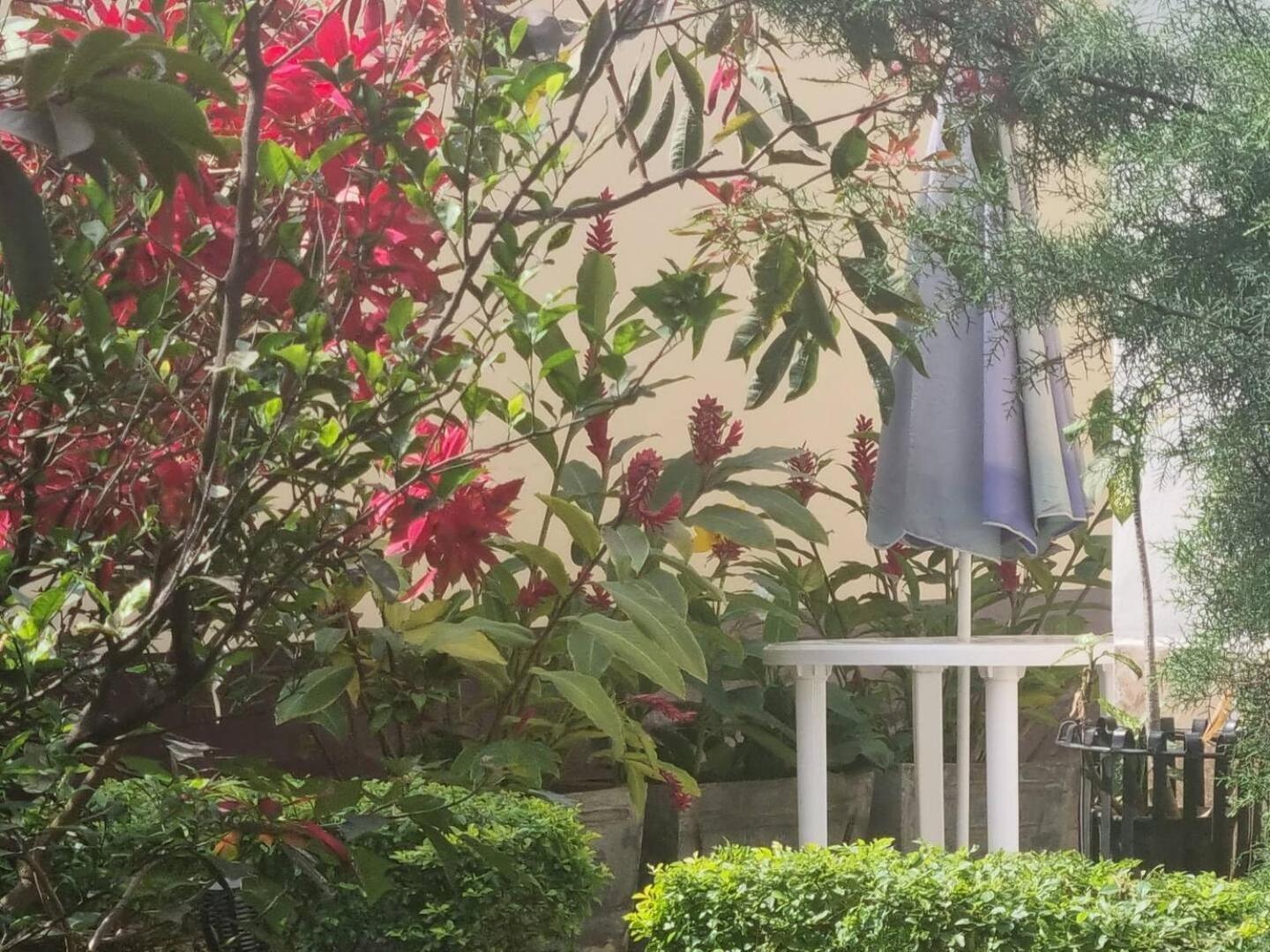 Tout Confort Avec Jardin Entree Bastos Yaoundé Kültér fotó