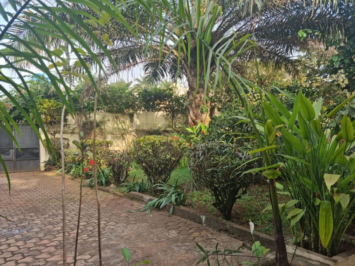 Tout Confort Avec Jardin Entree Bastos Yaoundé Kültér fotó