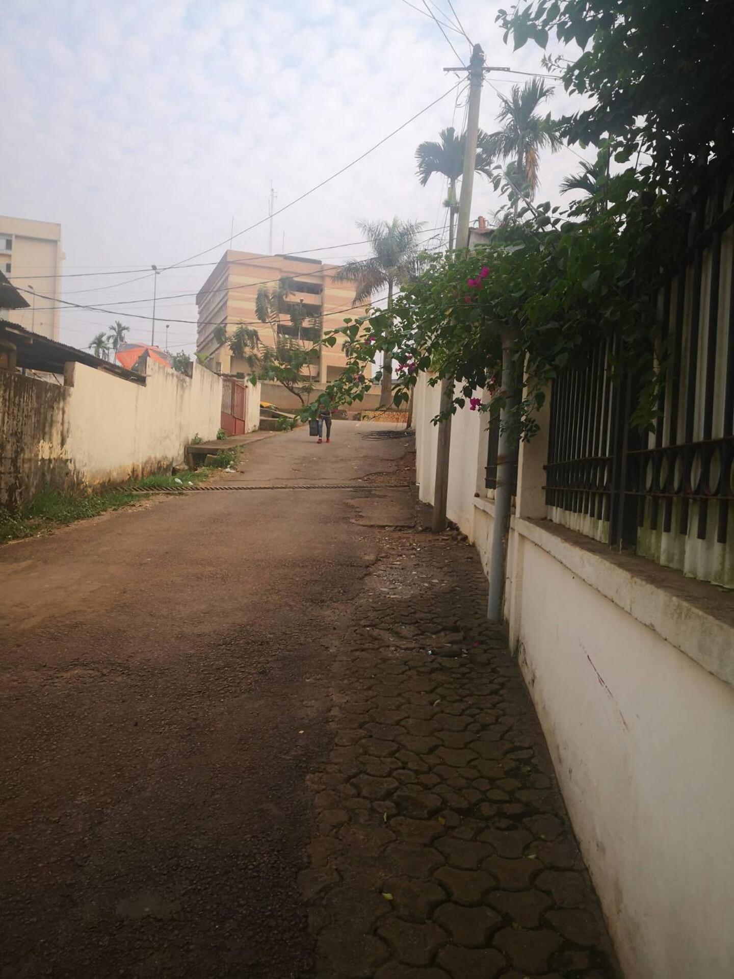 Tout Confort Avec Jardin Entree Bastos Yaoundé Kültér fotó